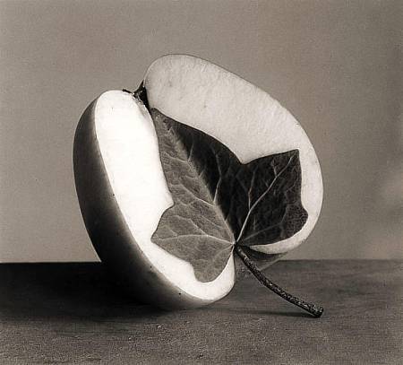 Chema Madoz - Manzana