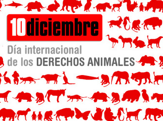 Dia Internacional por los derechos animales